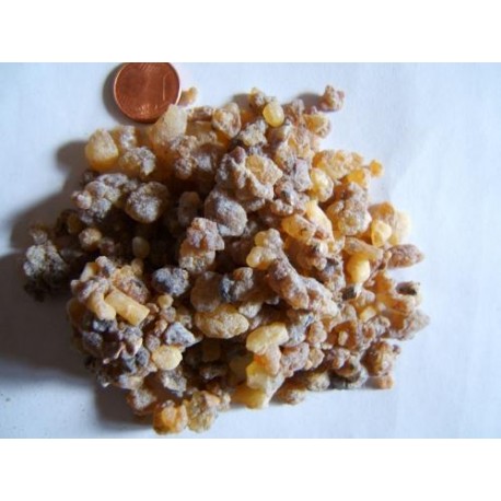 Kadidlovník - Indické Kadidlo - Boswellia serrata - 1kg