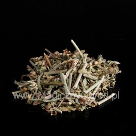 Čakanka vňať - Cichorum intybus - 250g sekaný