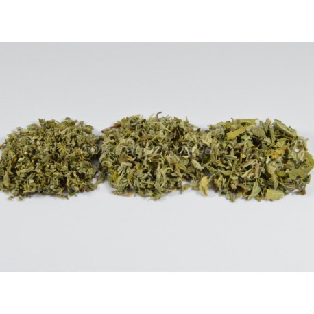 Damiana list premium - Turnera diffusa - 5kg sekaný