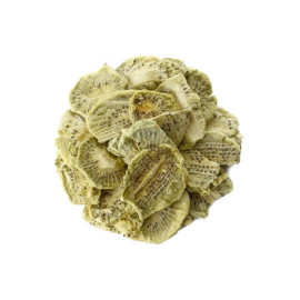 Kiwi lyofilizované - 500g