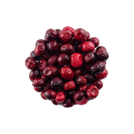 Kľukva lyofilizovaná - 100g