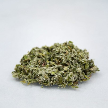 Coltsfoot - Tussilago farfara - 1kg