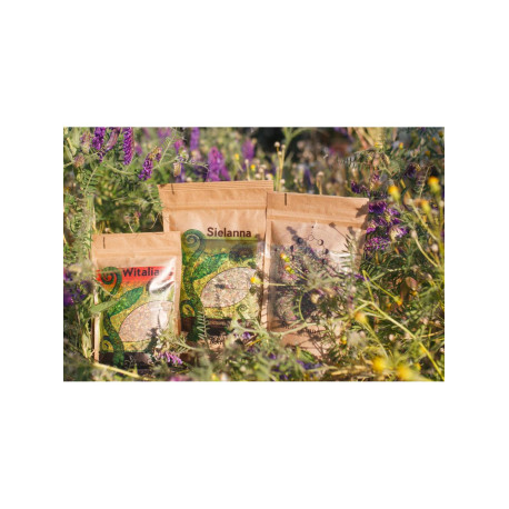 Čarovná čajová súprava