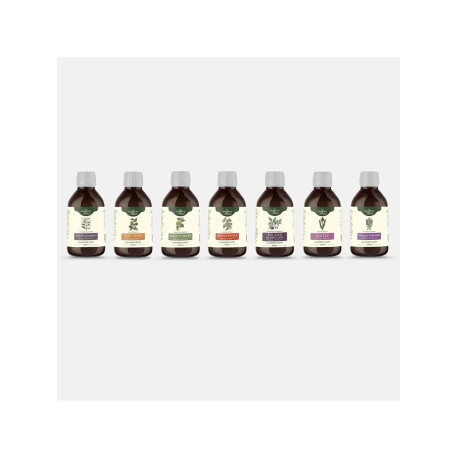 Protocolul Bühner de tinctură pentru boala Lyme - EXTINS - *250ml* - 2
