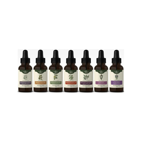 Bühnerov protokol tinktúry Lymská borelióza - EXTENDED - 50ml - 7
