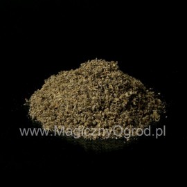 Mullein fine - Verbascum thapsiforme - 5kg