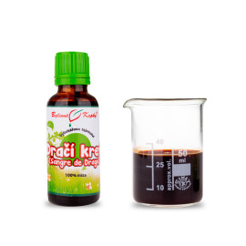 Dračia krv kvapky (100% miazga) 30 ml