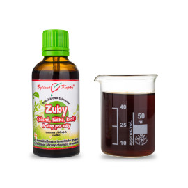 Zuby (ďasná, lôžko, kosť - B-stop pre zuby) kvapky (tinktúra) 50 ml