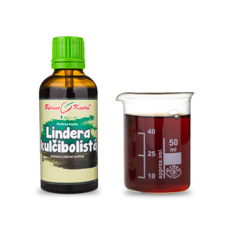 Lindera kulčibolistá (TCM) - Pavlovy bylinné kvapky (tinktúra) 50 ml