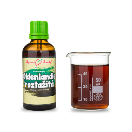 Oldenlandie roztažitá (TCM) - Pavlovy bylinné kvapky (tinktúra) 50 ml