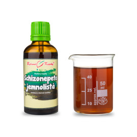 Schizonepeta (TCM) - Pavlovy bylinné kvapky (tinktúra) 50 ml