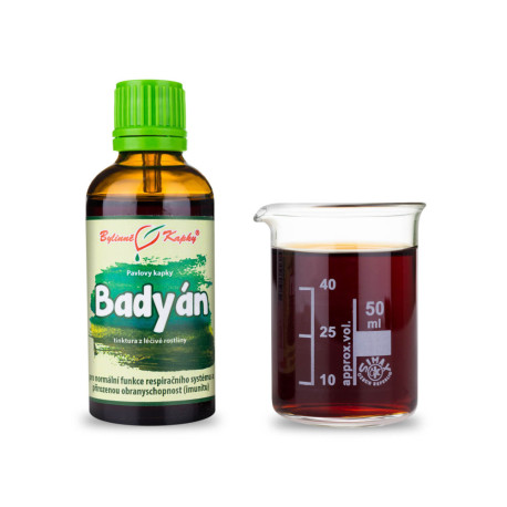 Hviezdicový aníz kvapky (tinktúra) 50 ml