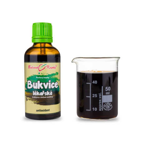 Betonika lekárska kvapky (tinktúra) 50 ml