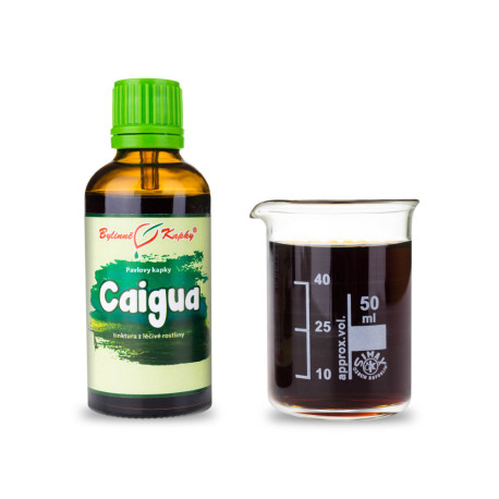 Caigua kvapky (tinktúra) 50 ml