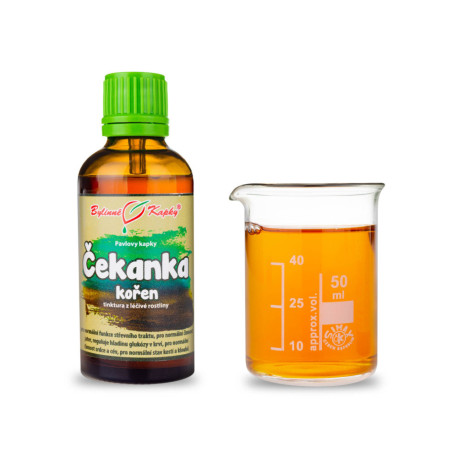 Čakanka obyčajná koreň kvapky (tinktúra) 50 ml