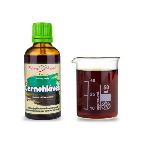 Čiernohlávok obyčajný (tinktúra) 50 ml
