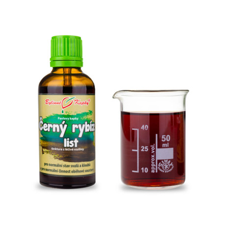 Ríbezľa čierna list kvapky (tinktúra) 50 ml