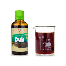 Dub letný (tinktúra) 50 ml