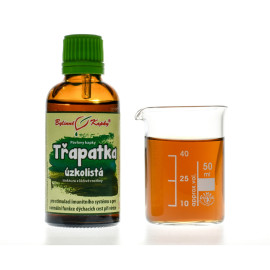 Echinacea angustifolia (Echinacea úzkolistá) kvapky (tinktúra) 50 ml