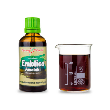 Amalaki kvapky (tinktúra) 50 ml