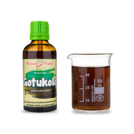 Pupočník ázijský kvapky (tinktúra) 50 ml
