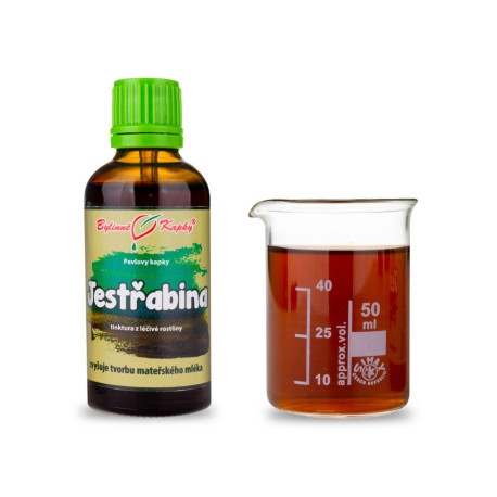Jastrabina lekárska kvapky (tinktúra) 50 ml