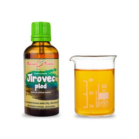 Pagaštan konský plod kvapky (tinktúra) 50 ml