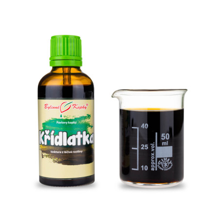 Pohánkovec japonský kvapky (tinktúra) 50 ml