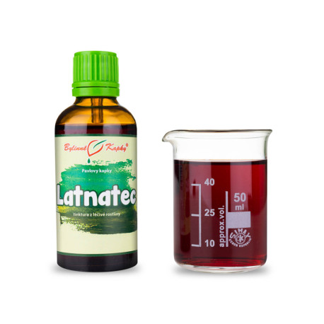Latnatec kvapky (tinktúra) 50 ml