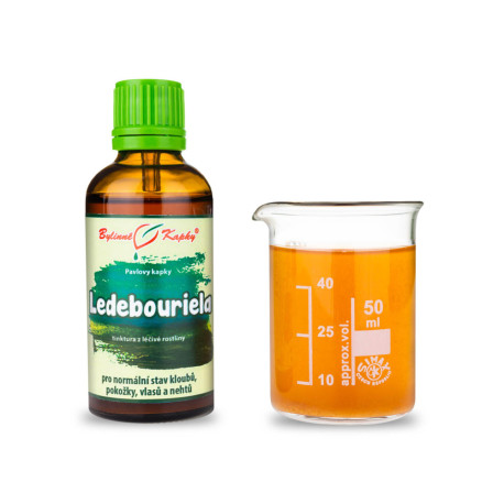 Ledebouriela kvapky (tinktúra) 50 ml