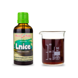 Pyštek obyčajný kvapky (tinktúra) 50 ml