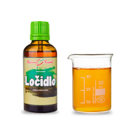 Ferula čertova (čertovo lajno) - Pavlove bylinné kvapky (tinktúra) 50 ml