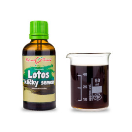 Lotos klíčky semien kvapky (tinktúra) 50 ml
