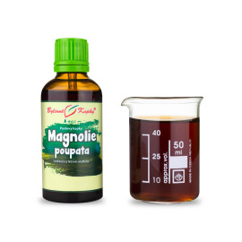 Magnólia puky kvapky (tinktúra) 50 ml