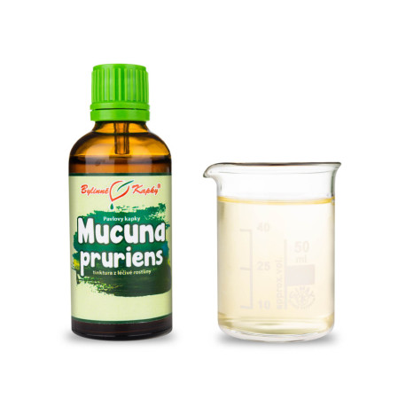 Mucuna pruriens kvapky (tinktúra) 50 ml