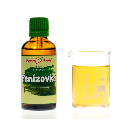 Plamienka zimná kvapky (tinktúra) 50 ml