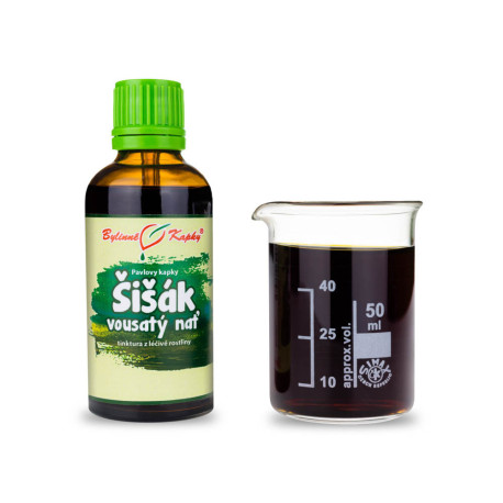 Šišiak fúzatý kvapky (tinktúra) 50 ml