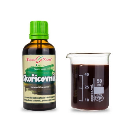 Škoricovník čínsky výhonky - Pavlove bylinné kvapky (tinktúra) 50 ml