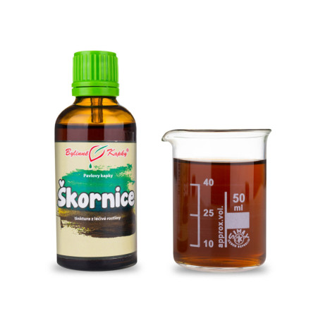 Škornice šípovitá kvapky (tinktúra) 50 ml