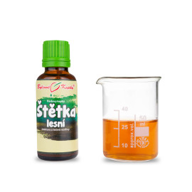 Štetka lesná kvapky (tinktúra) 30 ml
