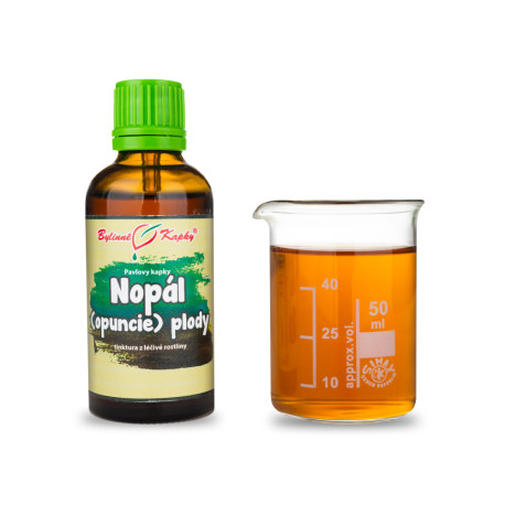 Nopál (opuncie) plod kvapky (tinktúra) 50 ml