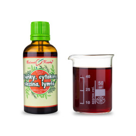 Buňky, cytokiny, slezina, lymfa (Netopýr 3) kvapky (tinktúra) 50 ml