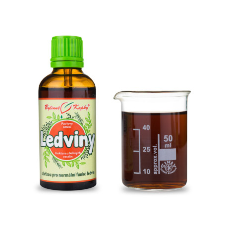Obličky I kvapky (tinktúra) 50 ml