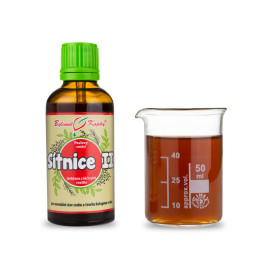 Regenerácia očnej sietnice II kvapky (tinktúra) 50 ml