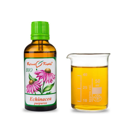 Echinacea purpurová BIO kvapky (tinktúra) 50 ml