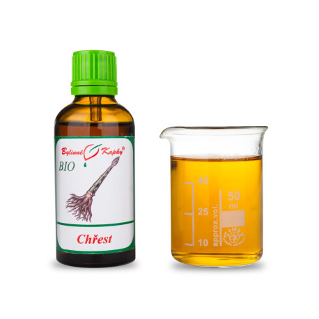 Šatavari BIO kvapky (tinktúra) 50 ml