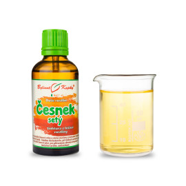 Cesnak kuchynský - Bylinné kvapky (tinktúra) Duša rastlín 50 ml