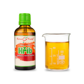 Hríb - Bylinné kvapky (tinktúra) Duša rastlín 50 ml