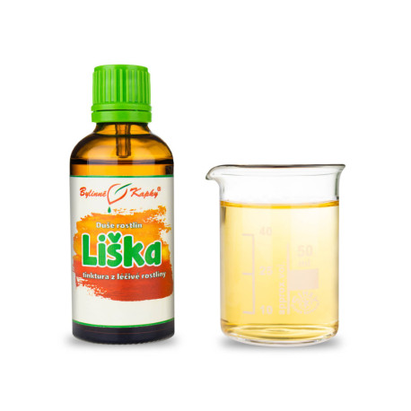 Líška obyčajná - Bylinné kvapky (tinktúra) Duša rastlín 50 ml