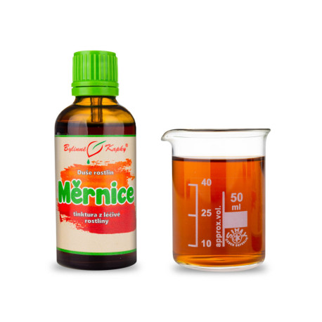 Balota čierna - Bylinné kvapky (tinktúra) Duša rastlín 50 ml
